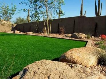 Artificial Grass Photos: Fake Grass North El Monte California  Landscape  Backyard